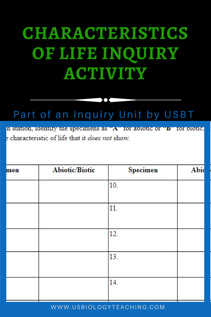 Characteristics Of Life Worksheet