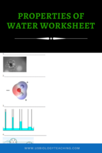 Properties of Water Worksheet - USBiologyTeaching.com
